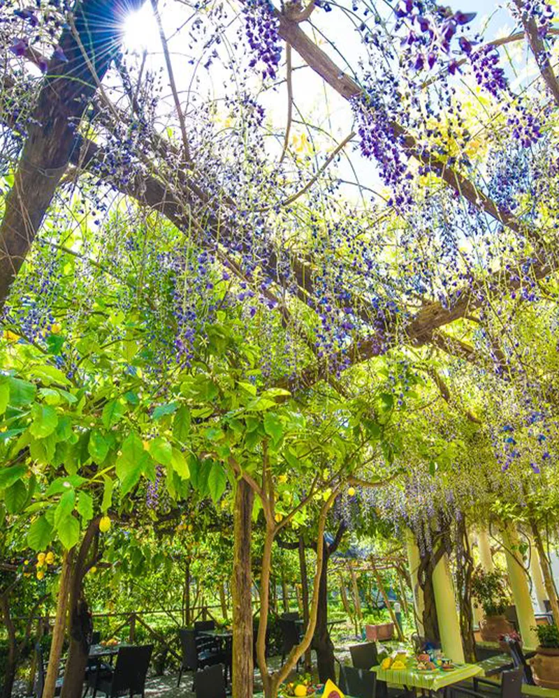 Pietra di Luna Residence